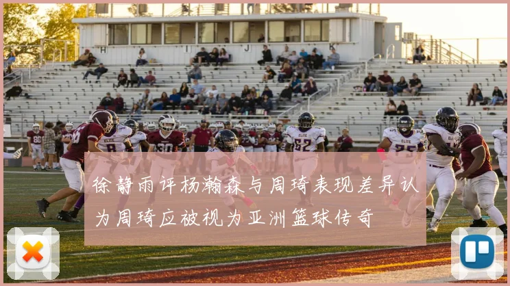 徐静雨评杨瀚森与周琦表现差异认为周琦应被视为亚洲篮球传奇